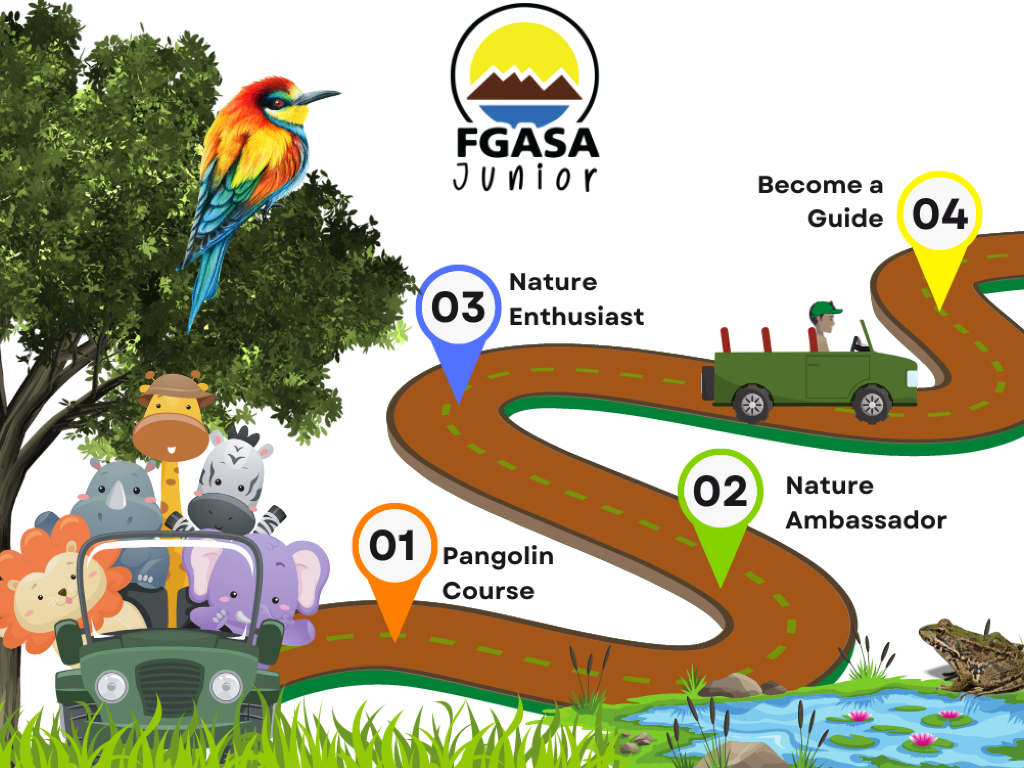 FGASA Course path