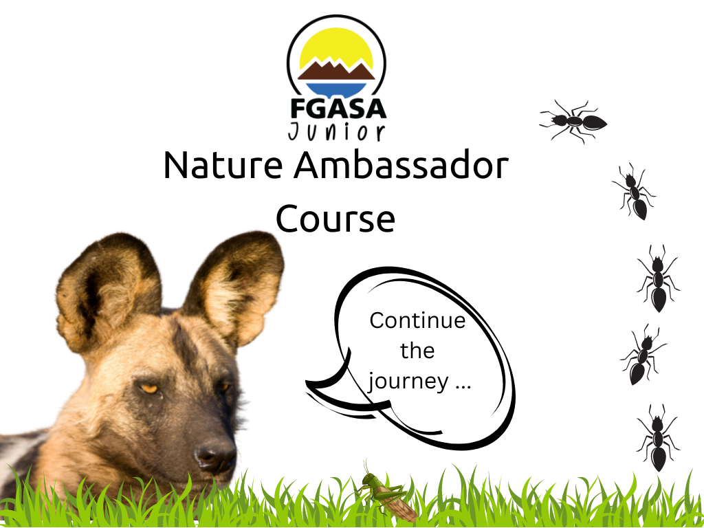 Nature ambassador Series