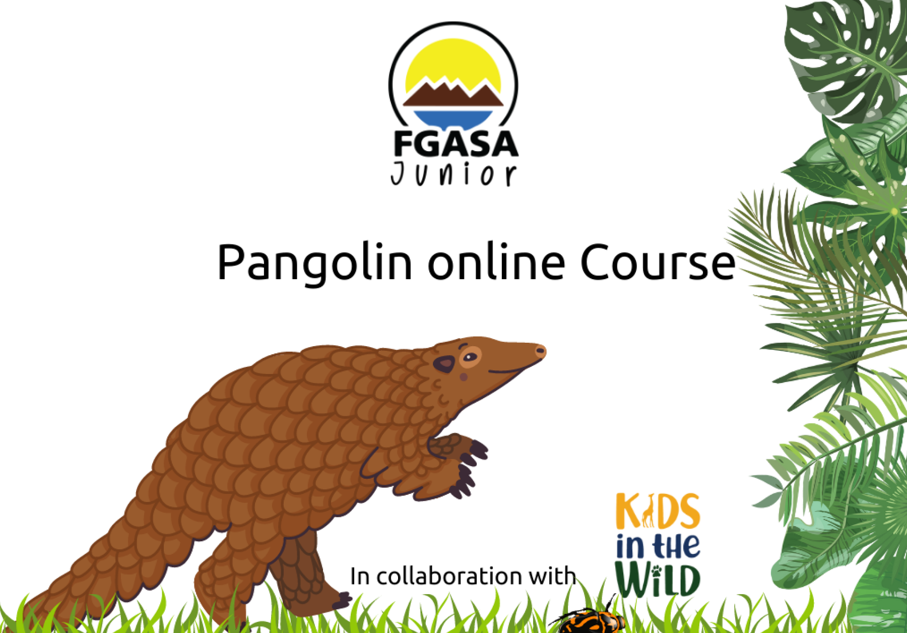 Pangolin online demand course