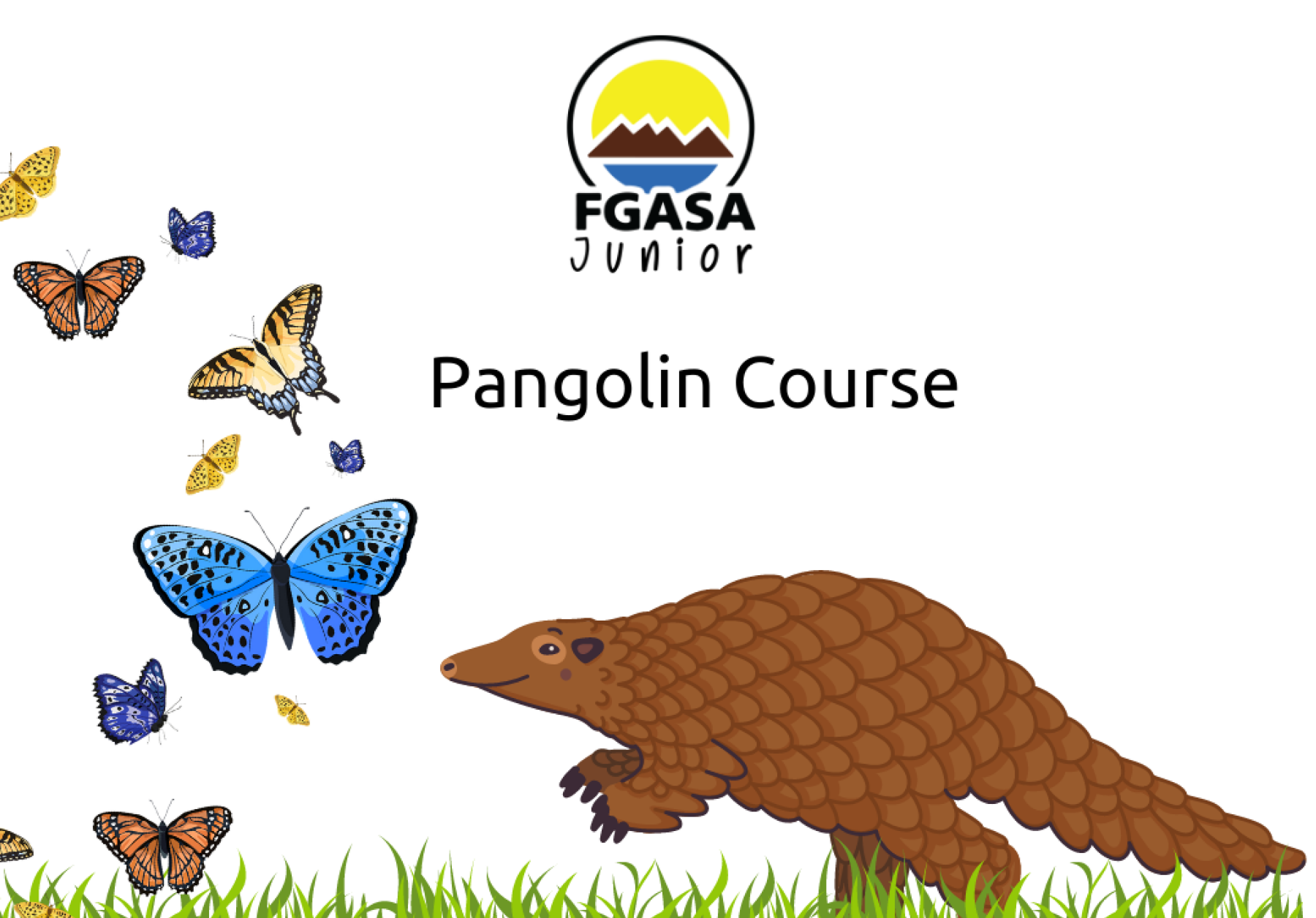 Pangolin sel study course